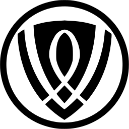 Bitweb Core black 256px